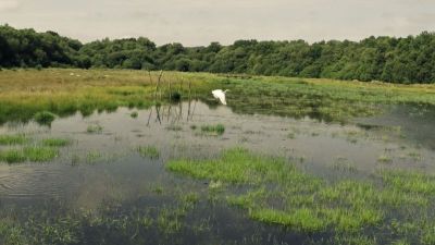 Etang de la Martyre