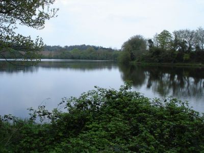 Etang de Gourveaux